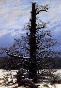 Caspar David Friedrich The Oaktree in the Snow oil